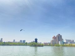 -迎泽公园