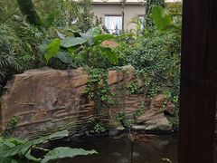 -忆江南·生态餐饮宴会酒店