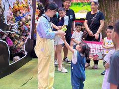 -正佳雨林生态植物园