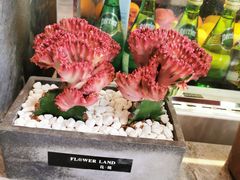 -卓花境Flowerwonderland花店
