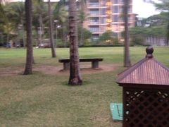 -三亚亚龙湾红树林度假酒店