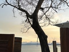 -Brew Farm·精酿农场海滨悬崖餐厅