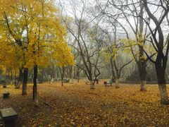 -山东大学(趵突泉校区)