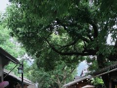 -灵隐飞来峰景区