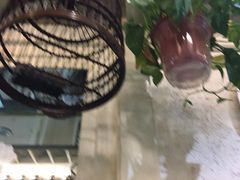 -粗茶淡饭•陕菜•家常菜