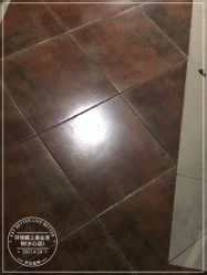 -环球蝶上美业连锁