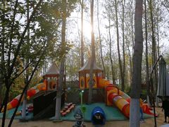 -合肥滨湖国家森林公园