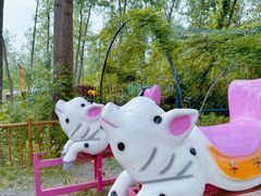 -合肥滨湖国家森林公园