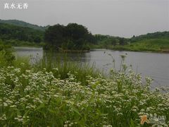 -天目湖山水园