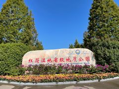 -微山湖红荷湿地景区