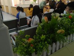 -上海中医药大学附属曙光医院(东部)