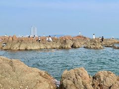 -巧克力渔家.小船海鲜胶东菜(万平口店)