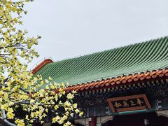 -珠海圆明新园