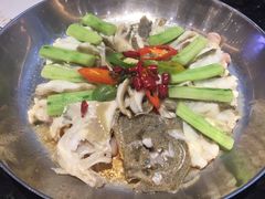 -新兴·金羊座·粤菜点心(乐峰店)