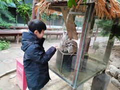 -呀路古热带植物园
