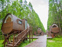 -黄海国家森林公园