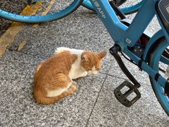 -荔湾湖公园