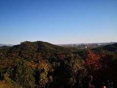 -红螺寺