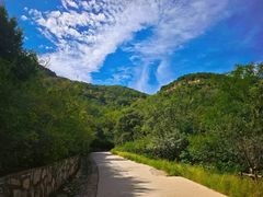 -北京西山国家森林公园