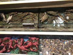 -宜宾海鲜酒家·三十年老字号