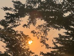 -马大胡子清真西北菜