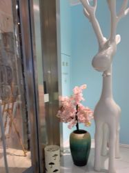 -小美汇美甲美睫美护