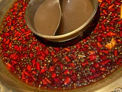 -哥老官重庆美蛙鱼头(西湖银泰十一哥店)