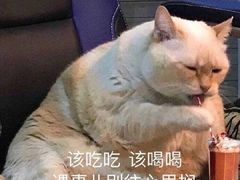-管氏翅吧(地安门创始店)