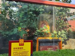 -西安市广仁寺