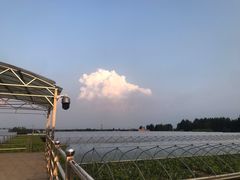 -白鹿原葡萄主题公园