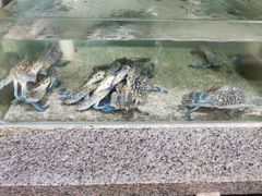 -三姐妹·海鲜大排档