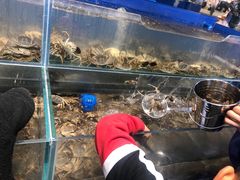 水产区-圣罗巴海鲜自助(黑金店)
