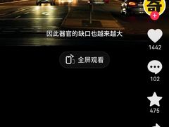 -约翰·菲茨杰拉德·肯尼迪国际机场