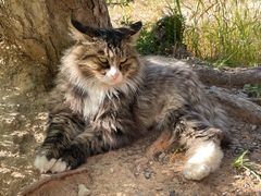 -北京西山国家森林公园