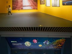 -中国湿地博物馆