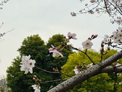 -堤角公园
