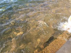 -西昌邛海湿地