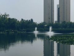 -前关湿地公园