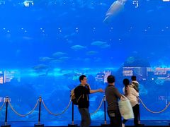 -成都浩海立方海洋公园