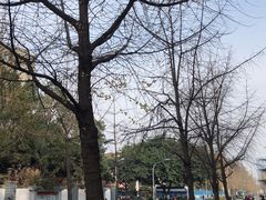 -四川大学(望江校区)
