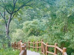 -白水寺森林公园