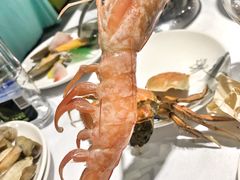 阿根廷红虾-海天盛宴新派海鲜自助餐厅(群力店)
