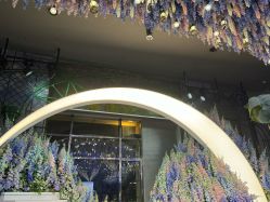 -花嫁丽舍婚礼殿堂(世博江景店)