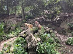 -黔灵山公园