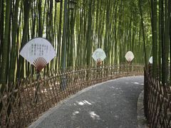 -陈家山荷花公园