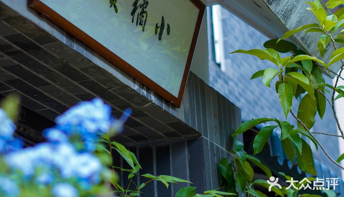 宝藏小店打卡｜梧桐山脚小橘颂，隐隐于市
