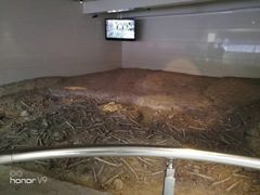 -侵华日军南京大屠杀遇难同胞纪念馆