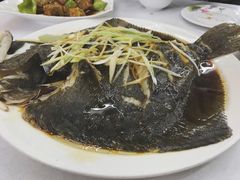 清蒸多宝鱼-北戴河庆山饭店·海鲜砂锅粥(北戴河黑石路店)