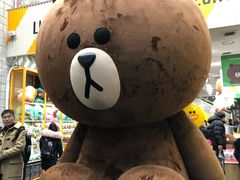 -line friends(明洞旗舰店)