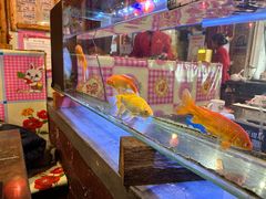 -粗粮人家·东北菜(洋桥店)